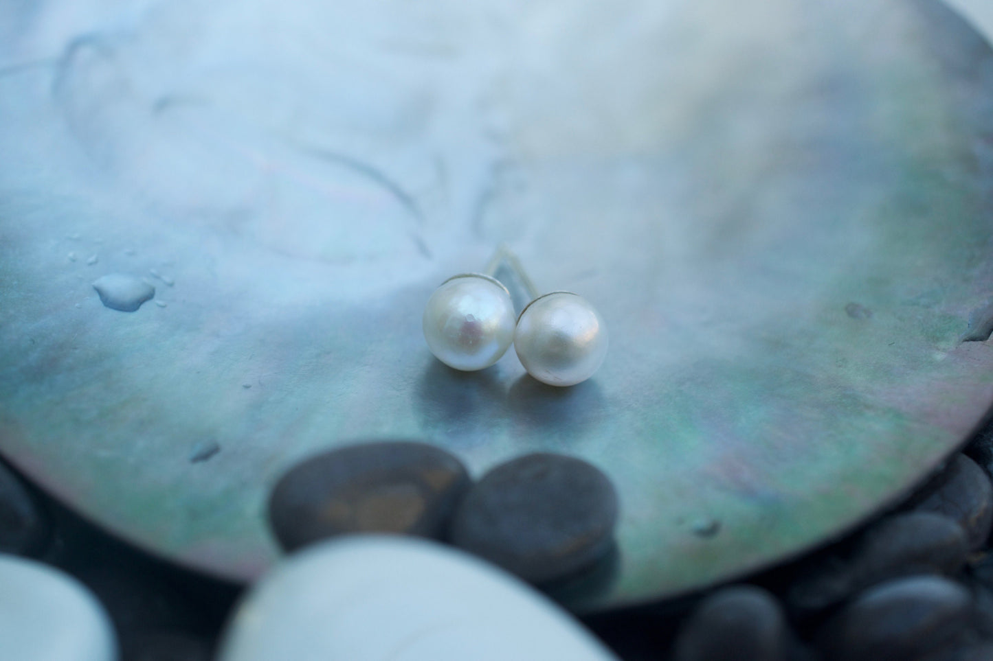 White Freshwater Pearl Stud Earrings in Sterling Silver