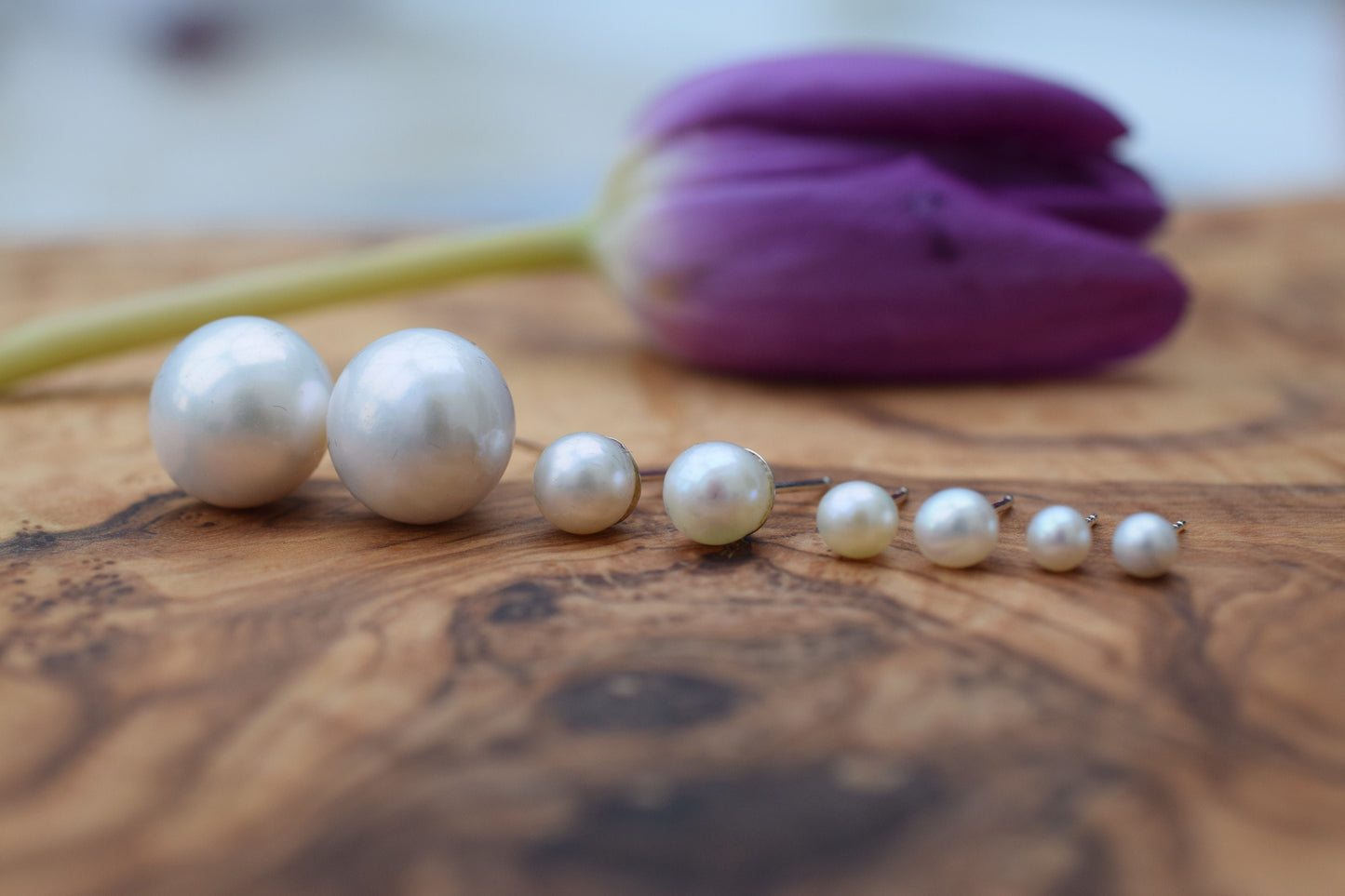 White Freshwater Pearl Stud Earrings in Sterling Silver