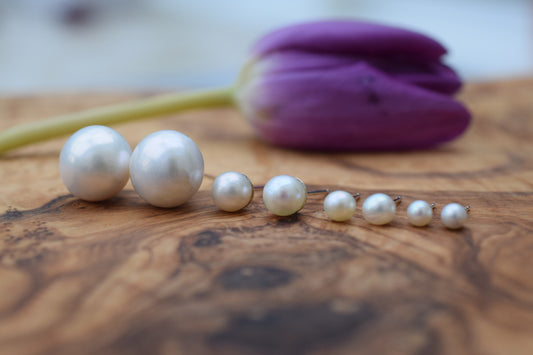 White Freshwater Pearl Stud Earrings in Sterling Silver