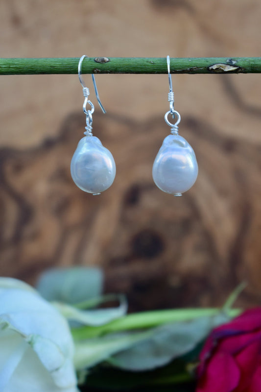 Coin Pearl Earrings in Sterling Silver